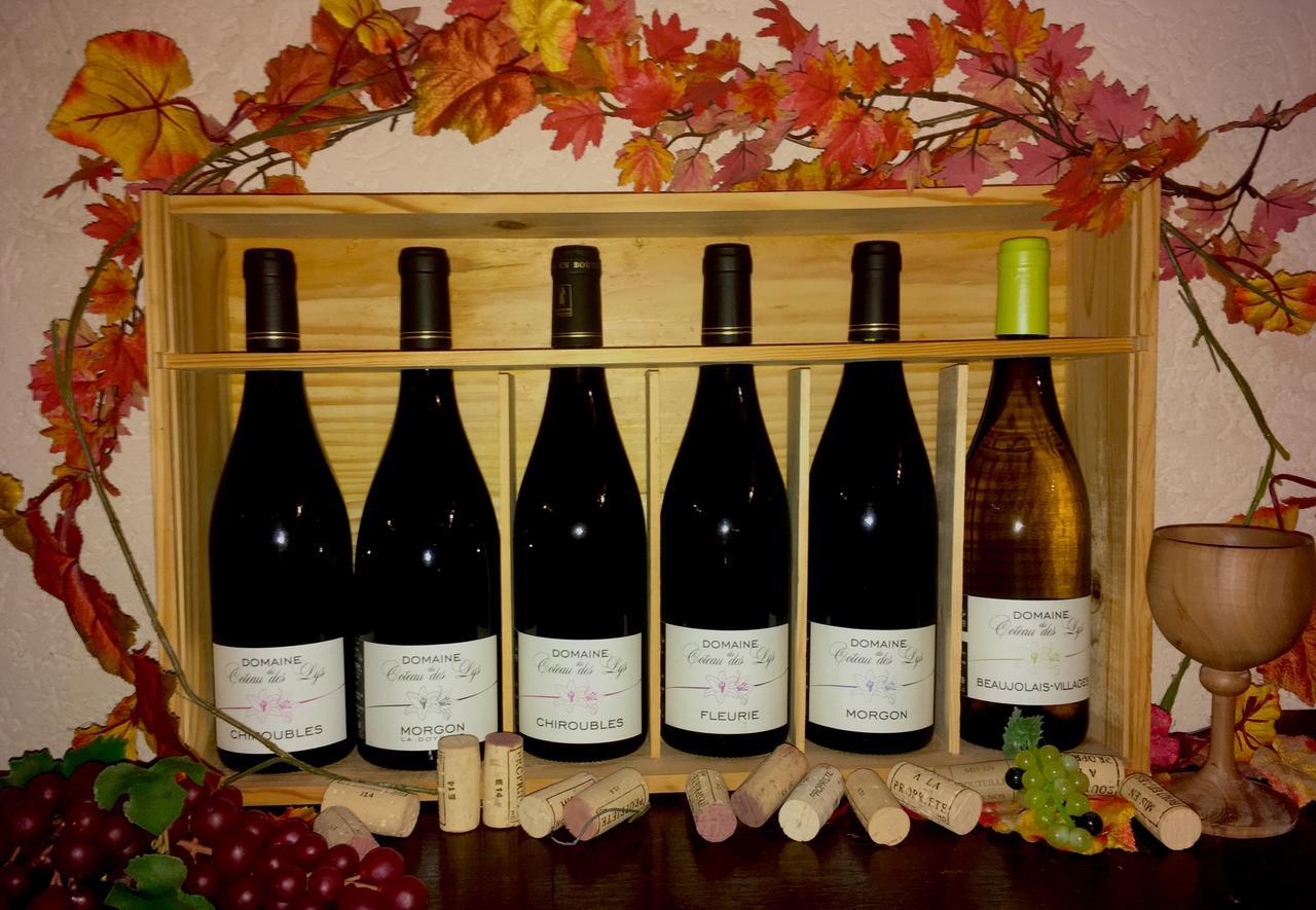 弗勒里 Domaine Du Coteau Des Lys酒店 外观 照片