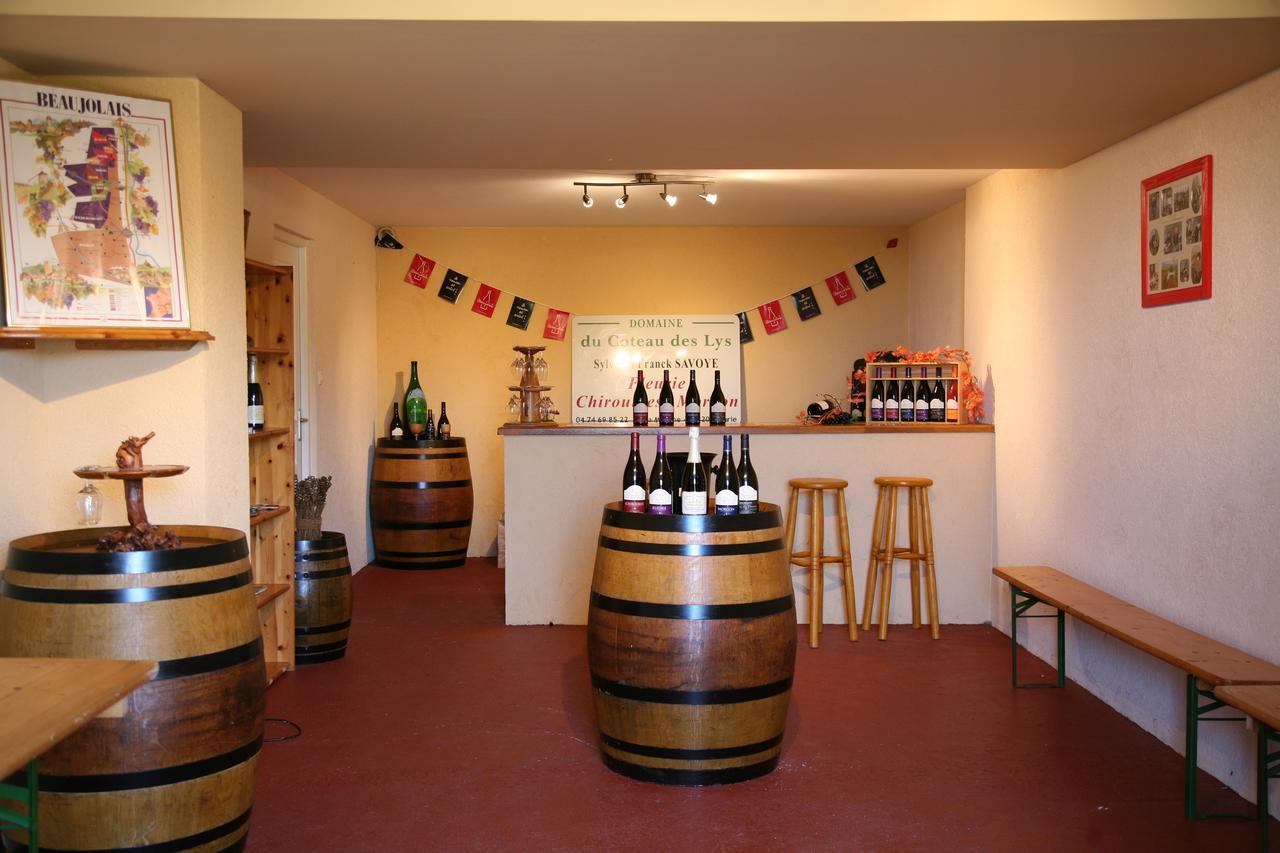 弗勒里 Domaine Du Coteau Des Lys酒店 外观 照片