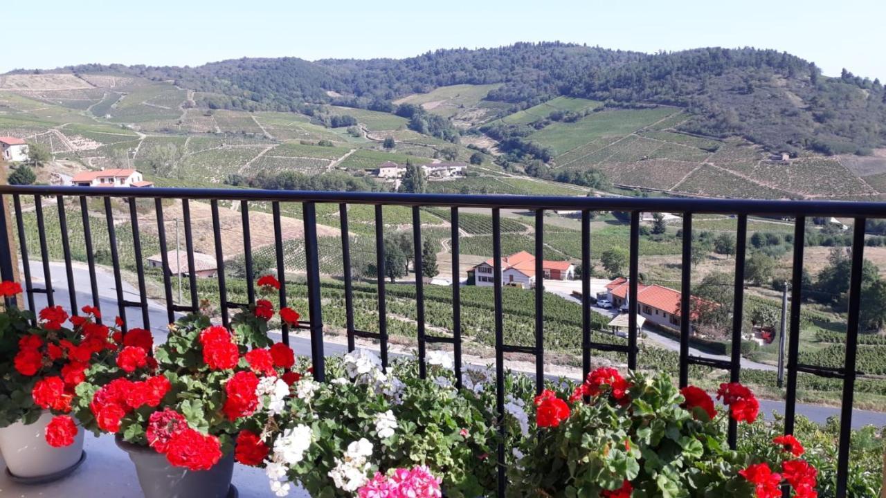 弗勒里 Domaine Du Coteau Des Lys酒店 外观 照片