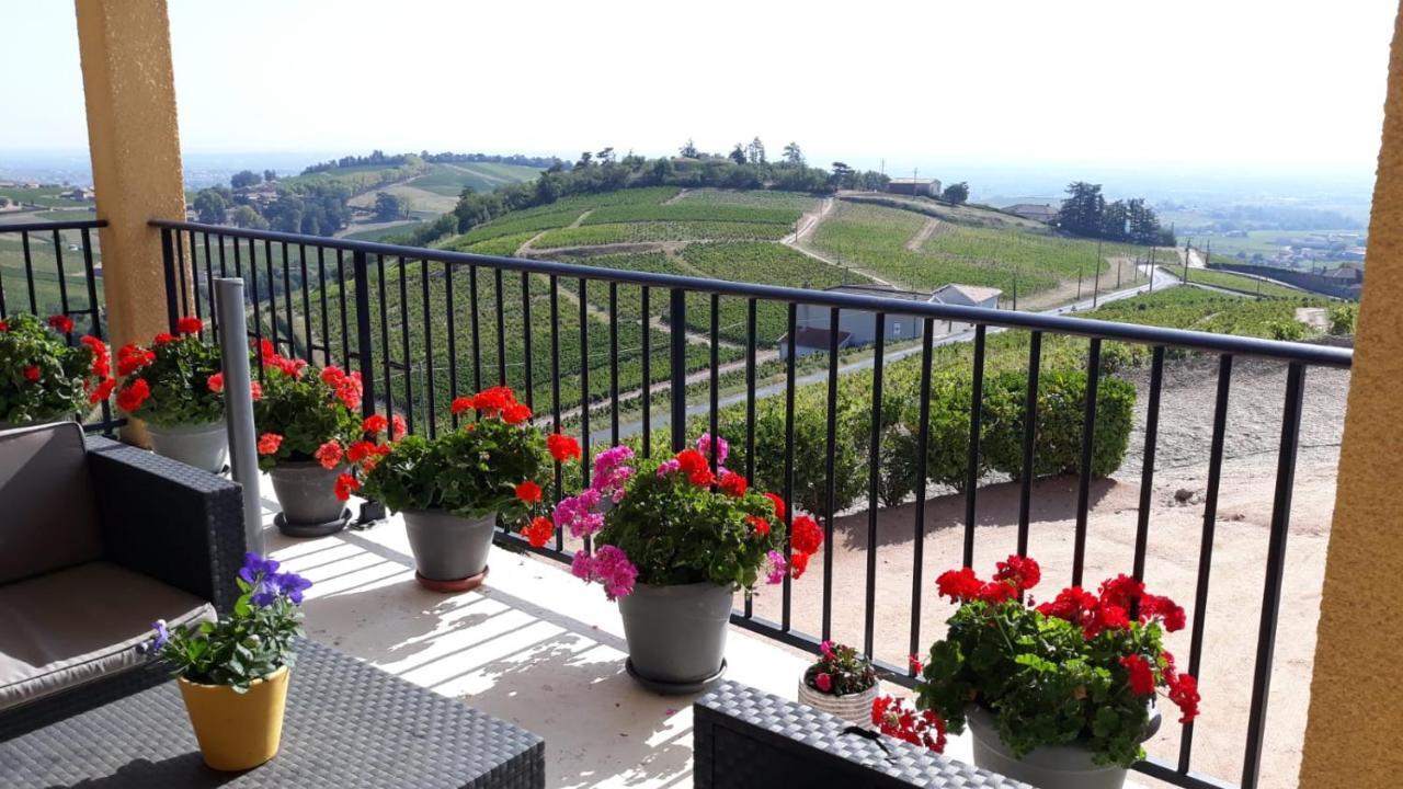 弗勒里 Domaine Du Coteau Des Lys酒店 外观 照片